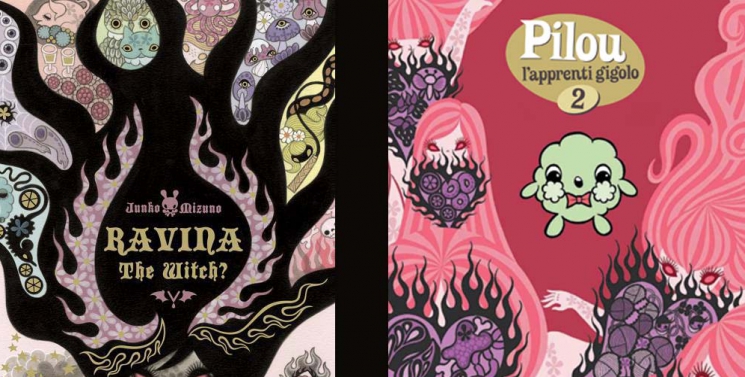 Illustration de l'article