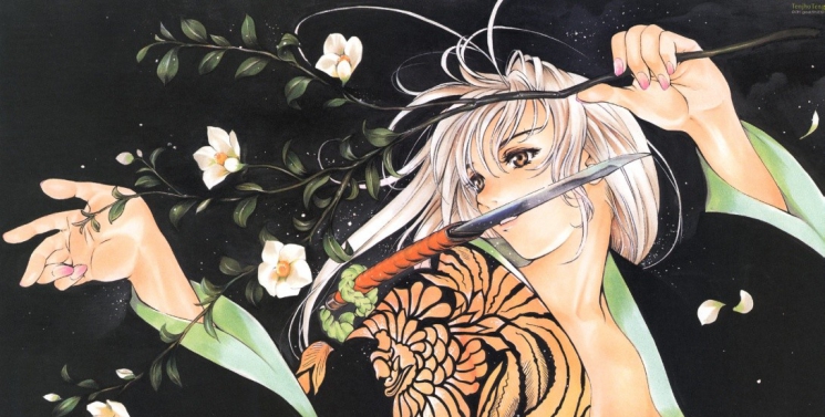 Illustration de l'article