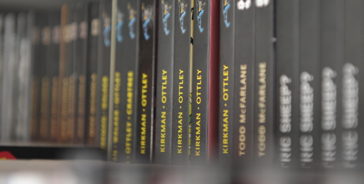 Illustration de l'article