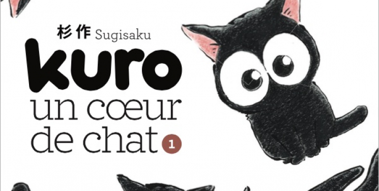Illustration de l'article