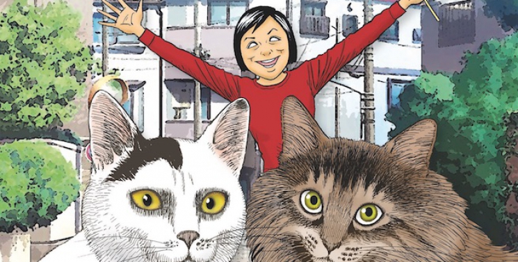 Illustration de l'article