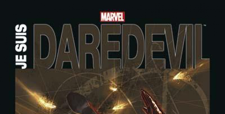 Illustration de l'article