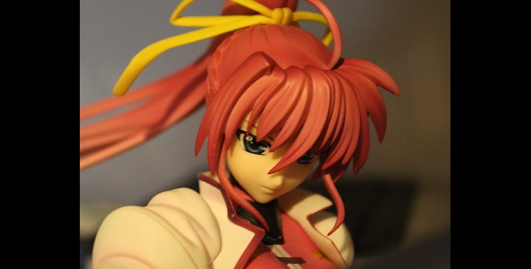 Illustration de l'article