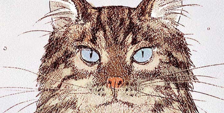 Illustration de l'article