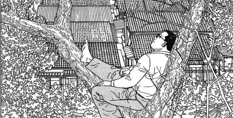 Illustration de l'article