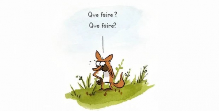 Illustration de l'article