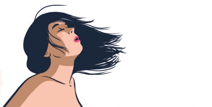 Illustration de l'article