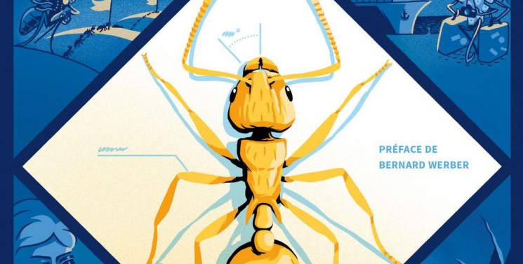 Illustration de l'article