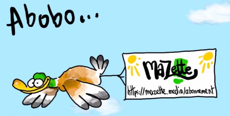 Illustration de l'article