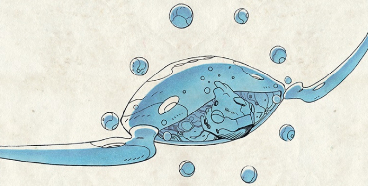 Illustration de l'article