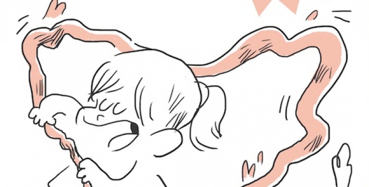 Illustration de l'article