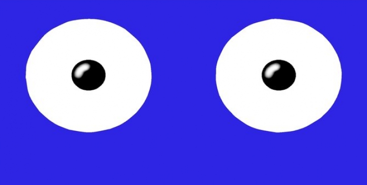 Illustration de l'article