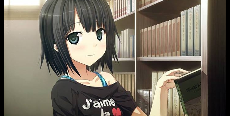 Illustration de l'article