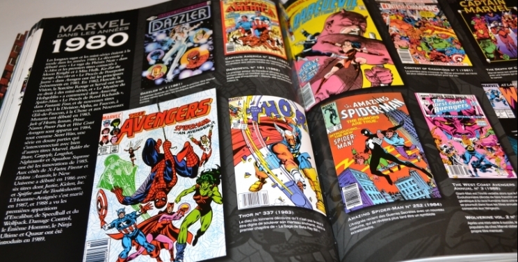 Illustration de l'article