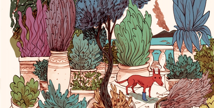 Illustration de l'article