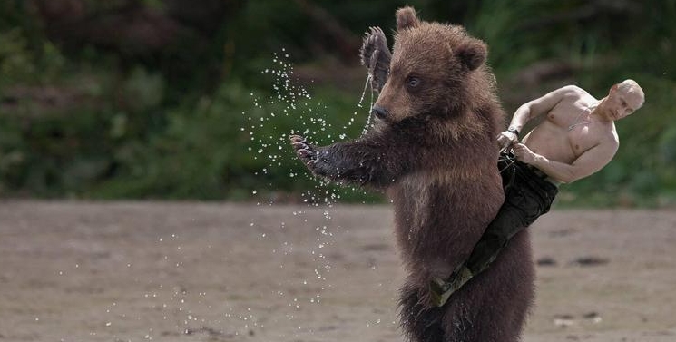 Illustration de l'article