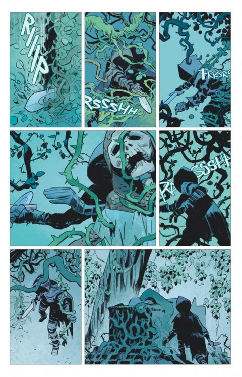 Aperçu de l'album Briar - la Rebelle au Bois Dormant tome 1 - Tome 1