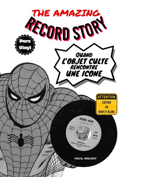 Couverture de l'album The amazing record story