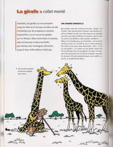 Aperçu 3 de l'album Tintin (Autour de la BD) tome 2005 - Tintin et les animaux