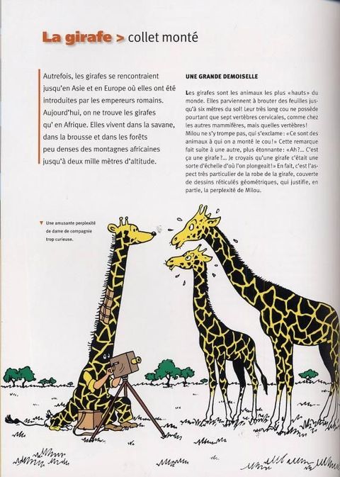 Aperçu de l'album Tintin (Autour de la BD) tome 2005 - Tintin et les animaux