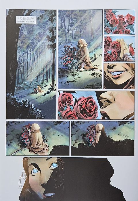 Aperçu de l'album Les Chevaliers Ténèbres tome 1 - Les sigils du chaos