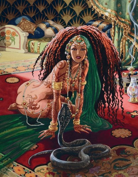 Couverture de l'album intégrale cycle 1