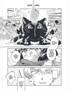 Aperçu 2 de l'album Nos coeurs de chats tome 1