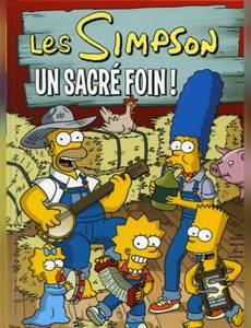 Couverture de l'album Un Sacré Foin !