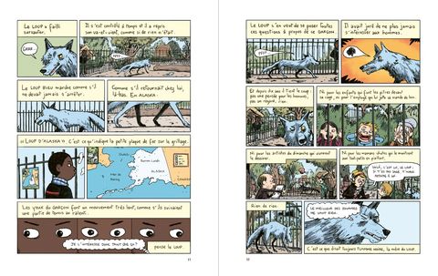 Aperçu de l'album L'oeil du loup