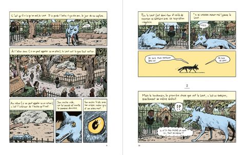 Aperçu de l'album L'oeil du loup