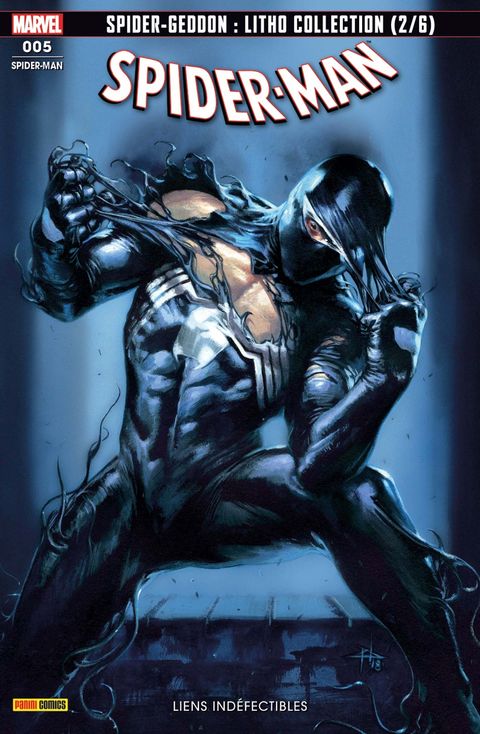 Couverture de l'album Lien Indéfectible 