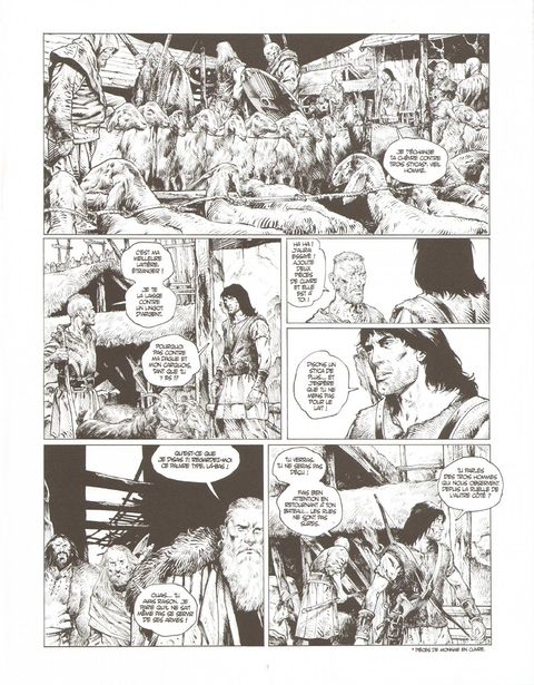 Aperçu de l'album Thorgal (Saga) tome 6 - La déesse d'ambre