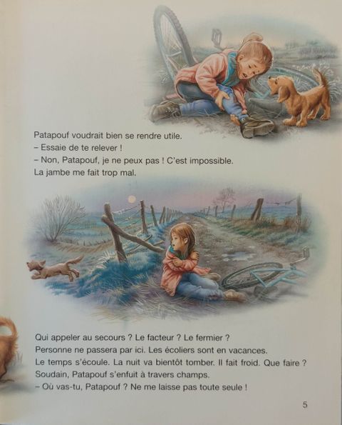 Aperçu de l'album Martine tome 46 - Martine, l'accident
