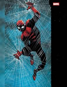 Couverture de l'album null