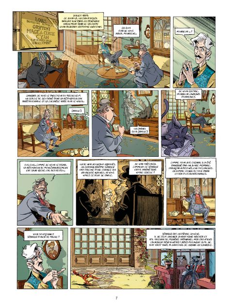 Aperçu de l'album Le Paris des Merveilles tome 1 - Les enchantements d'Ambremer 1/2