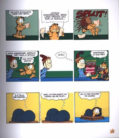 Aperçu de l'album Garfield Poids Lourd tome 2