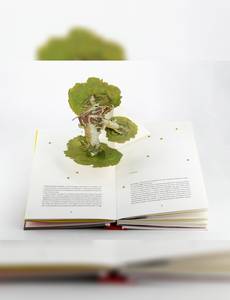Aperçu 7 de l'album Le petit prince  - Le Grand Livre pop-up le petit prince 