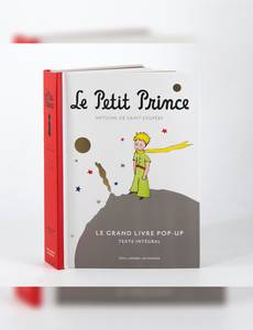 Aperçu 3 de l'album Le petit prince  - Le Grand Livre pop-up le petit prince 