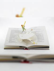 Aperçu 5 de l'album Le petit prince  - Le Grand Livre pop-up le petit prince 