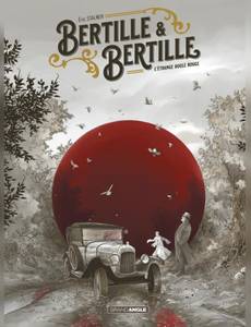 Couverture de l'album L'étrange boule rouge