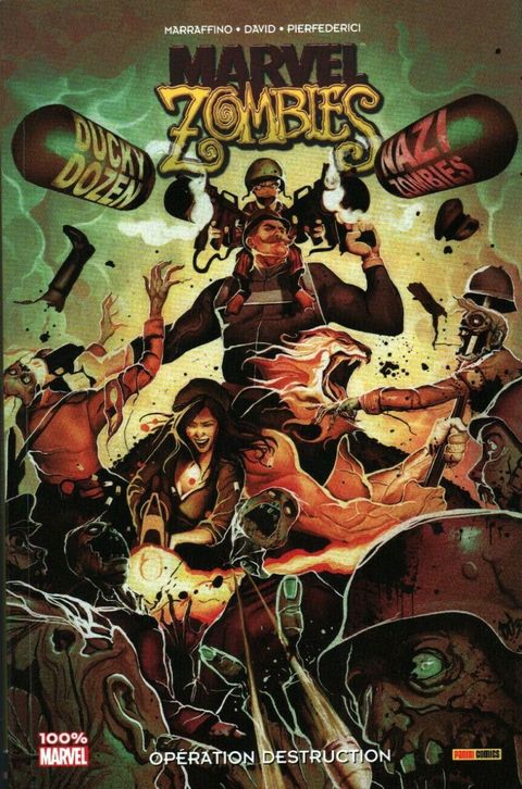 Couverture de l'album Opération Destruction