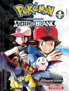 Pokémon Noir et Blanc - Edition double