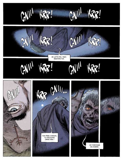 Aperçu de l'album Pax Elfica tome 2 - Le sang du Drac