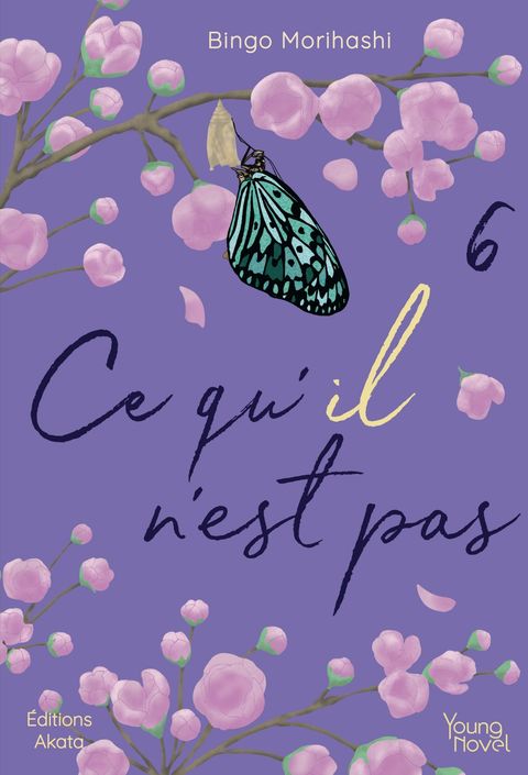 Couverture de l'album Ce qu'il n'est pas