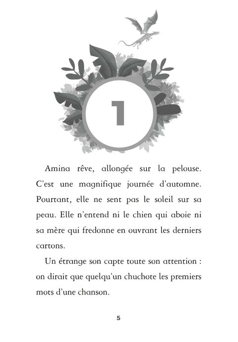 Aperçu de l'album Dragon girls  tome 1 - Amina le dragon d'or 