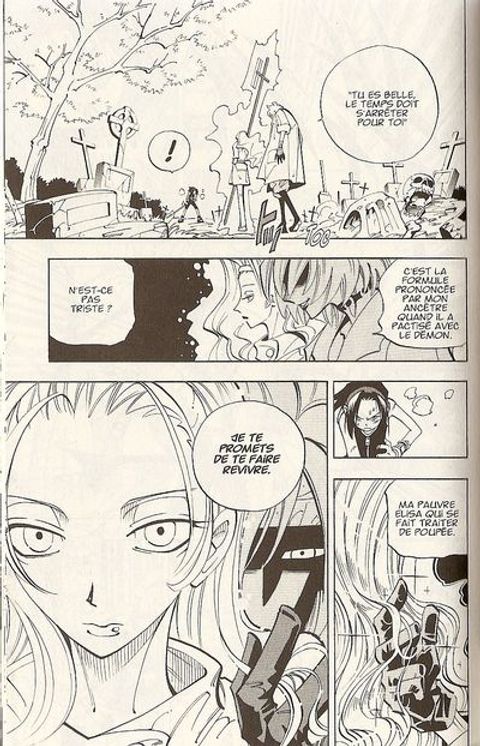 Aperçu de l'album Shaman King tome 6