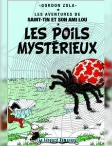 Aperçu 1 de l'album Les aventures de Saint-Tin et son ami Lou tome 6 - Les poils mystérieux 