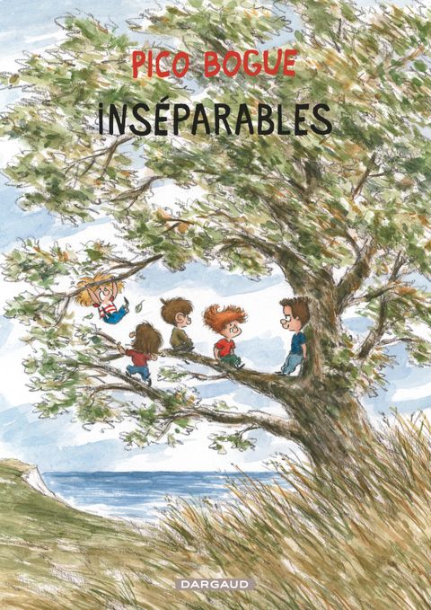 Couverture de l'album Inséparables