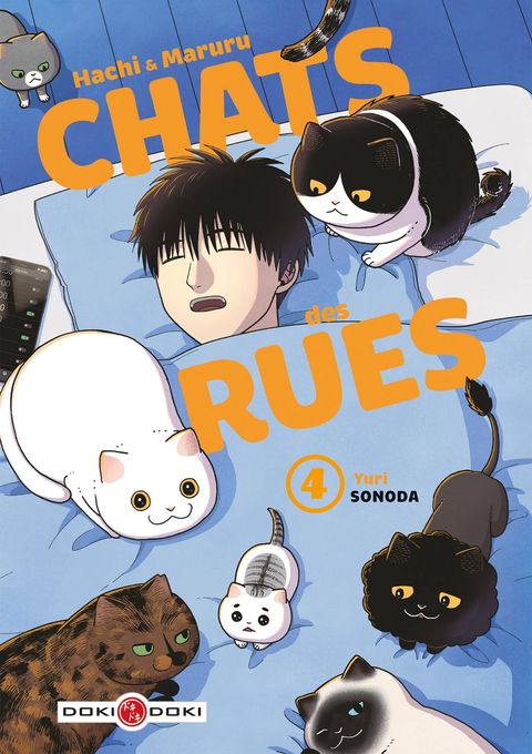 Couverture de l'album Hachi & Maruru - Chats des rues