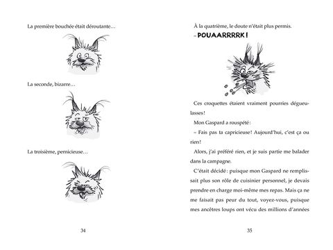Aperçu de l'album Le journal de Gurty tome 4 - Printemps de chien 